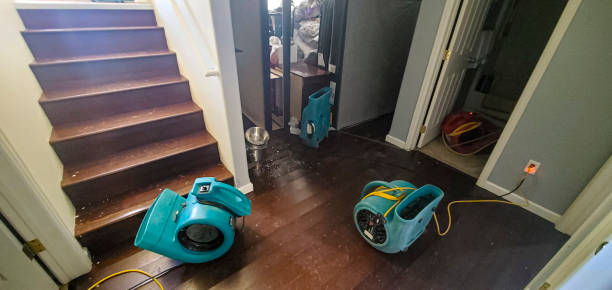 Best Flood restoration services  in Lake Lorraine, FL