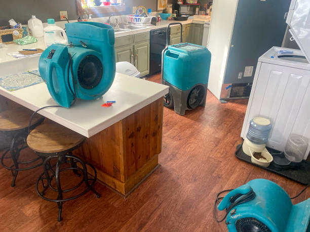 Best Water damage contractors near me  in Lake Lorraine, FL