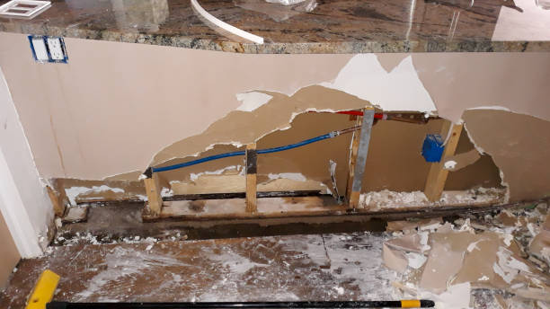 Best 24-hour water damage restoration  in Lake Lorraine, FL