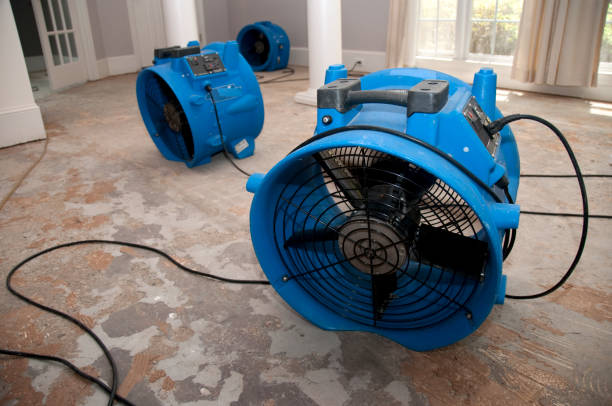Best Flooded house restoration  in Lake Lorraine, FL