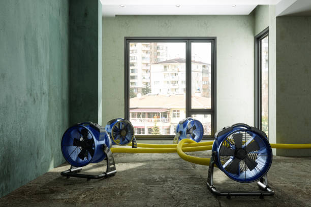 Trusted Lake Lorraine, FL Water damage restoration Experts